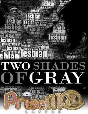 Cover of the book Two Shades of Gray by Dametrius Bedgood