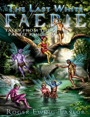 Cover of the book The Last White Faerie: Tales from the Faerie Kingdom by Jacob Salzer