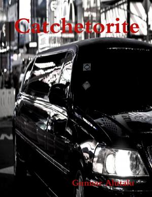 Cover of the book Catchetorite by James Bennett