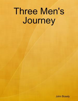 Cover of the book Three Men's Journey by Jacqui H Johnson