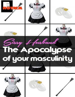 Book cover of Sissy Husband: The Apocalypse of Your Masculinity