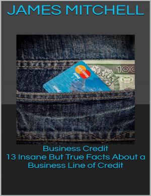 Cover of the book Business Credit: 13 Insane But True Facts About a Business Line of Credit by Rod Polo