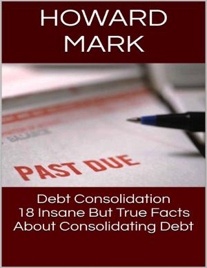 Cover of the book Debt Consolidation: 18 Insane But True Facts About Consolidating Debt by Stephen E. Dew