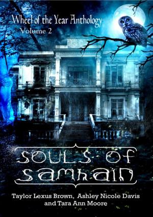 Cover of Souls of Samhain- Wheel of the Year Anthologies Volume 2