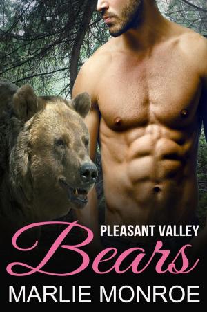 Book cover of Pleasant Valley Bears