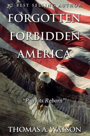Book cover of Patriots Reborn