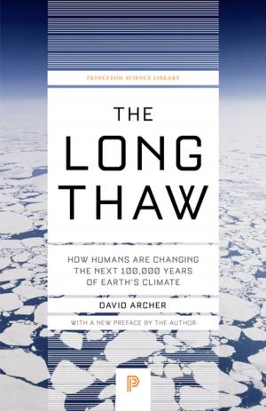 Cover of the book The Long Thaw by Matt J. Keeling, Pejman Rohani