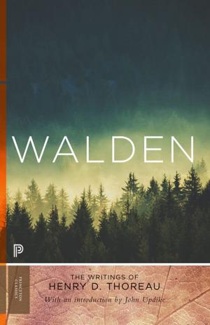 Cover of the book Walden by Meghan J. DiLuzio