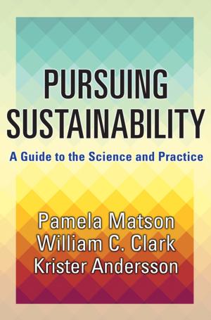 Cover of the book Pursuing Sustainability by Hans Joas, Wolfgang Knöbl