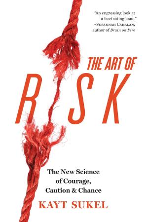 Cover of the book The Art of Risk by Jill Esbaum