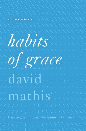 Book cover of "Habits of Grace"