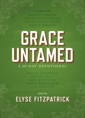 Cover of the book Grace Untamed by Kyle Idleman