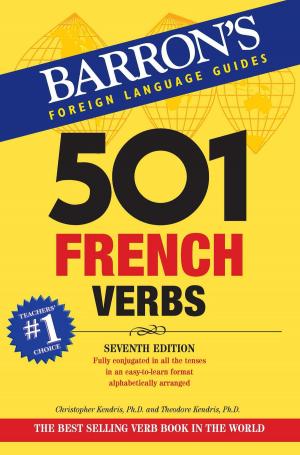 Cover of the book 501 French Verbs by Elizabeth Stewart, Lisa M. Dimling, Ph.D., David A. Stewart, Ed.D.