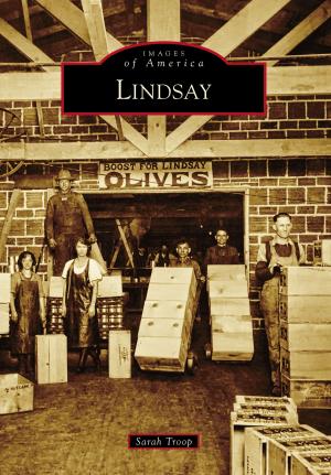Cover of the book Lindsay by Bill Cotter