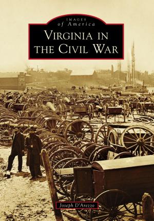 Cover of the book Virginia in the Civil War by Barbara J. Pratt, Twenty Mule Team Museum