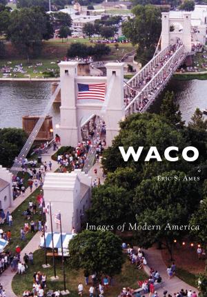 Cover of the book Waco by Robert Redd