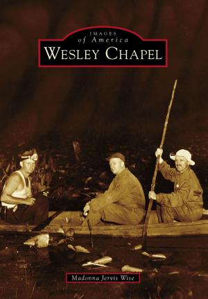 Cover of the book Wesley Chapel by Maryan Pelland, Dan Pelland