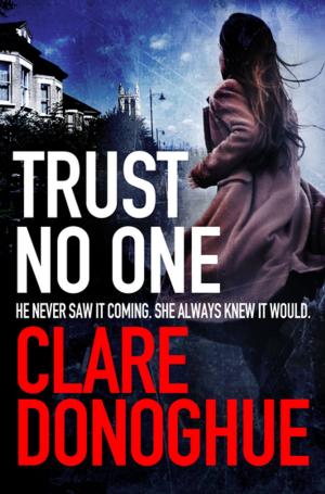 Cover of the book Trust No One by Christina Williams