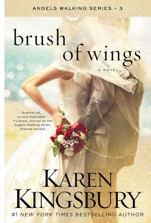 Cover of the book Brush of Wings by Terry Rush