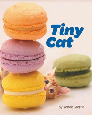 Cover of the book Tiny Cat by Brendan Wenzel