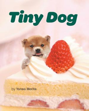 Cover of the book Tiny Dog by Susannah Conway, Amanda Gilligan, Jenifer Altman
