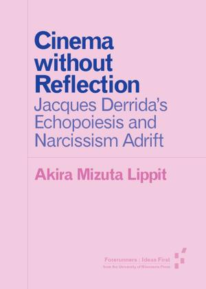 Book cover of Cinema without Reflection