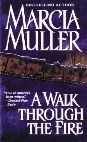 Cover of the book A Walk Through the Fire by 