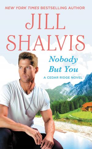 Cover of the book Nobody But You by Edward Fays