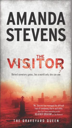 Cover of the book The Visitor by Tess Gerritsen