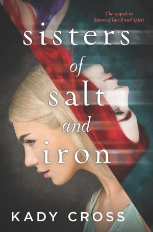 Cover of the book Sisters of Salt and Iron by Sarah M. Anderson