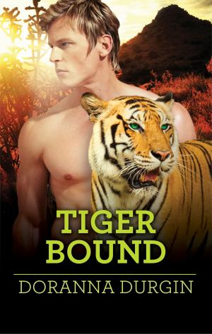 Cover of the book Tiger Bound by Nora Roberts