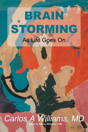 Cover of the book Brain Storming by Graham Gibbs