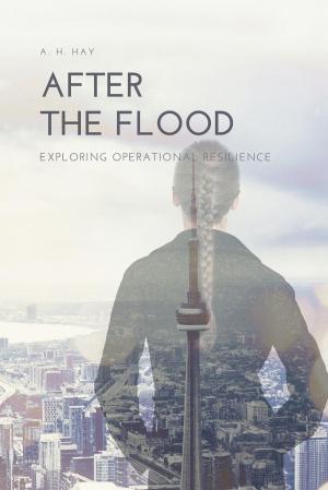 Cover of the book After the Flood by Monica Jo Carusi