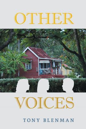 Cover of the book Other Voices by George L. Ayers