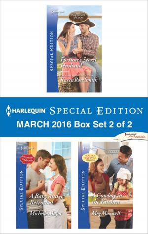Book cover of Harlequin Special Edition March 2016 Box Set 2 of 2
