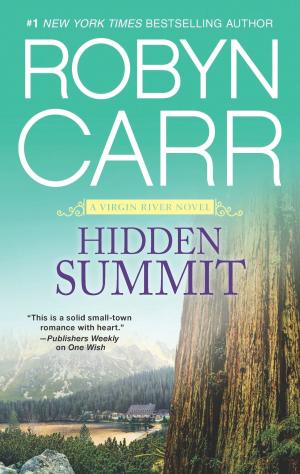 Cover of the book Hidden Summit by Dakota Cassidy