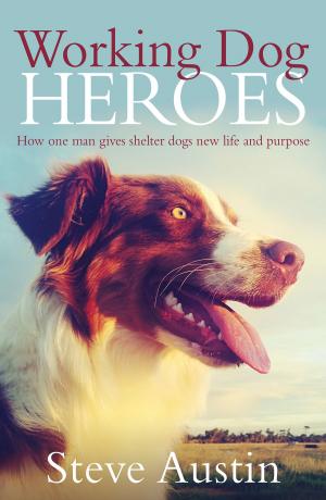 Cover of the book Working Dog Heroes by Michael J. Valenzuela
