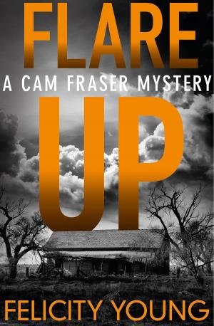 Cover of the book Flare-up by Samantha Napier