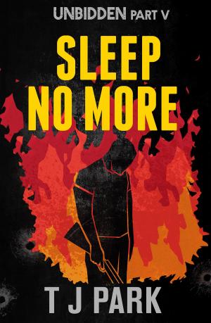 Cover of the book Sleep No More by Stacey Nash
