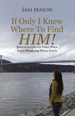 Cover of the book If Only I Knew Where to Find Him! by Janet Safford Cline
