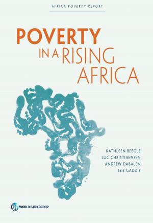 Cover of the book Poverty in a Rising Africa by van den Brink Rogier; DeGroot Dave; Marrengane Ntombini; Berrisford Stephen; Kihato Michael; Mhlanga Zimkhitha