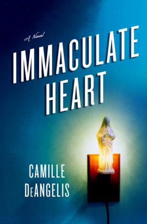 Book cover of Immaculate Heart
