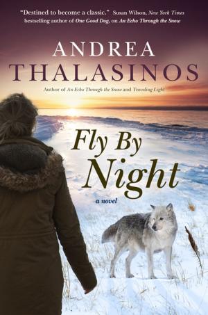 Cover of the book Fly By Night by Ann Aguirre