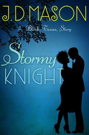 Cover of the book Stormy Knight by Jessica Stirling
