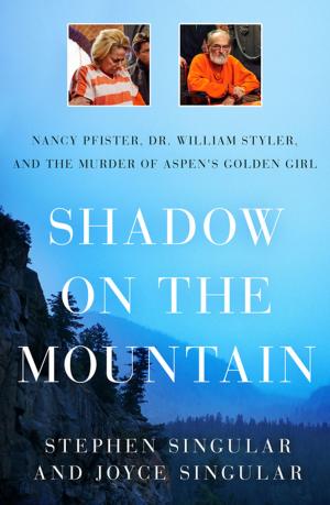 Cover of the book Shadow on the Mountain by Linda Washington, Carrie Pyykkonen