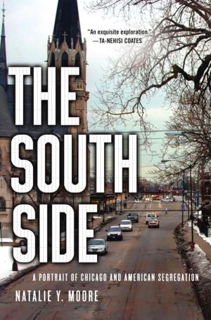 Cover of the book The South Side by Tracey Enright
