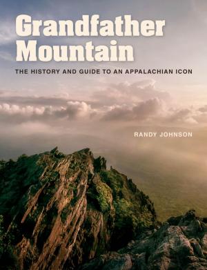Cover of the book Grandfather Mountain by David Narrett