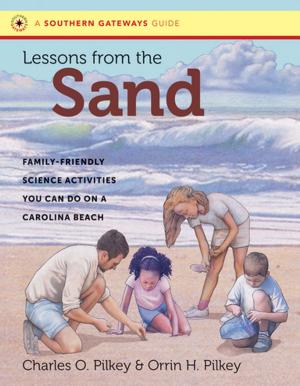 Book cover of Lessons from the Sand