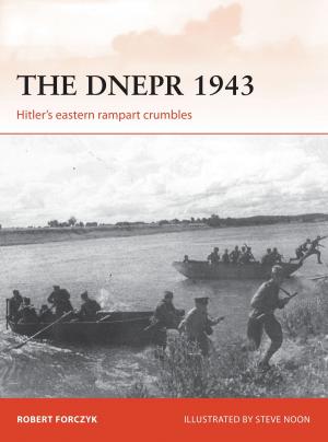 Book cover of The Dnepr 1943
