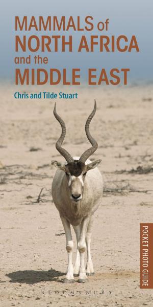 Book cover of Mammals of North Africa and the Middle East